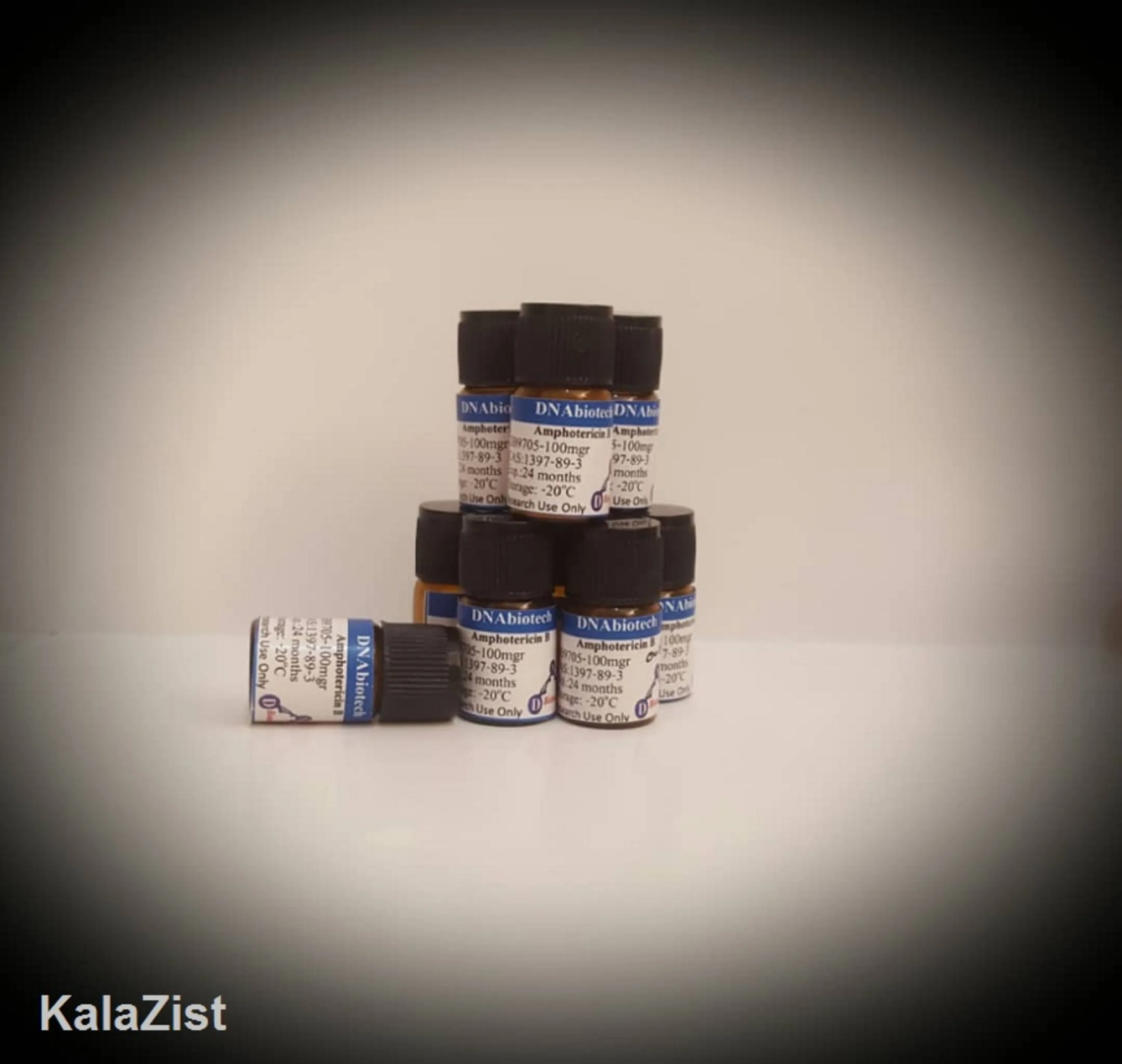 آمفوتریسین DNAbiotech amphotricin b kalazist 